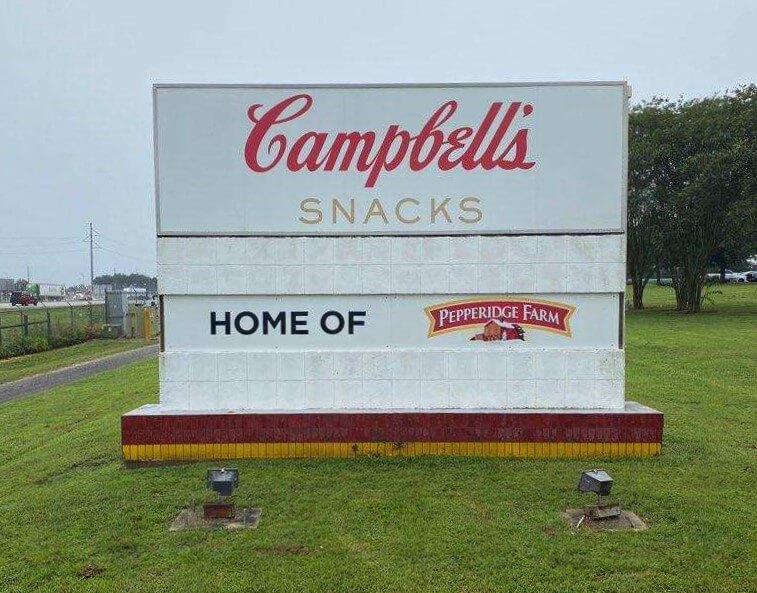 Monument sign for Campbell’s Snakes by amazing sings in Tampa, FL